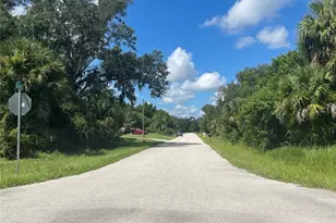 Snyder (Lot 6 Block 1019) St, North Port, FL 34288 - Photo 31