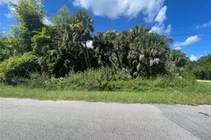 Snyder (Lot 6 Block 1019) St, North Port, FL 34288 - Photo 25