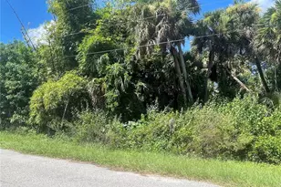 Snyder (Lot 6 Block 1019) St, North Port, FL 34288 - Photo 7