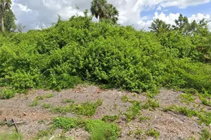 14472 Rothschild Ave, Port Charlotte, FL 33953 - Photo 1