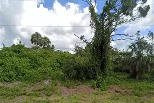 14480 Rothschild Ave, Port Charlotte, FL 33953 - Photo 1