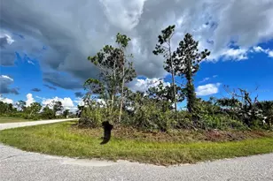 13463 Frost Ln, Port Charlotte, FL 33981 - Photo 1