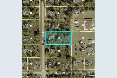 1304 Irving Avenue, Lehigh Acres, FL 33972 - Photo 3