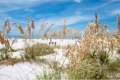 1703 12th Street S, Saint Petersburg, FL 33705 - Photo 69