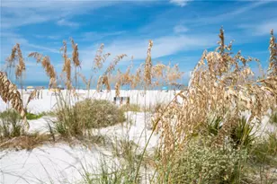 1703 12th St S, Saint Petersburg, FL 33705 - Photo 69