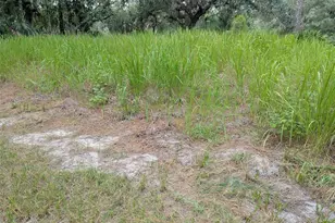 7062 Crooked Creek Ln, Zolfo Springs, FL 33890 - Photo 19