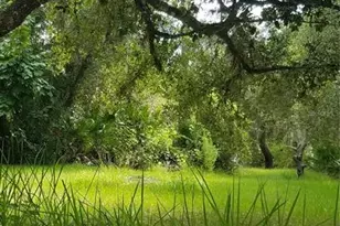 7062 Crooked Creek Ln, Zolfo Springs, FL 33890 - Photo 25