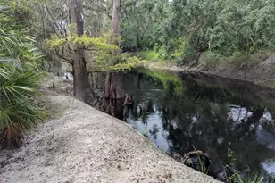 7062 Crooked Creek Ln, Zolfo Springs, FL 33890 - Photo 33