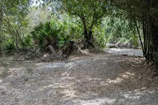 7062 Crooked Creek Ln, Zolfo Springs, FL 33890 - Photo 31