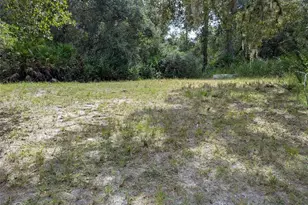 7062 Crooked Creek Ln, Zolfo Springs, FL 33890 - Photo 37