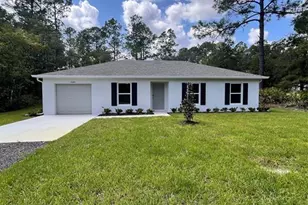 10645 Weatherby Ave, Hastings, FL 32145 - Photo 1