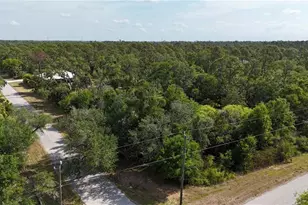 3136 Joshua St, Port Charlotte, FL 33948 - Photo 55