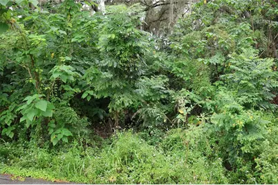 3330 SE 11th Avenue, Ocala, FL 34471 - Photo 5