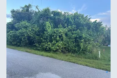 1019 Tropical Avenue NW, Port Charlotte, FL 33948 - Photo 1