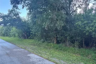 919 Phyllis Terrace, Port Charlotte, FL 33948 - Photo 1