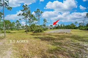 6405 Alan Blvd, Punta Gorda, FL 33982 - Photo 63