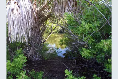 13384 Alewife Lane, Placida, FL 33946 - Photo 5