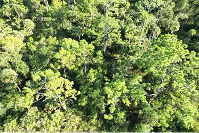 1294 Birch Terrace, Port Charlotte, FL 33953 - Photo 11