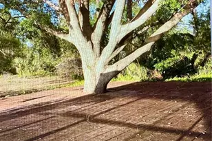 21464 Bingham Ave, Port Charlotte, FL 33954 - Photo 21