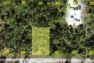 17362 Wellsley Ave, Port Charlotte, FL 33954 - Photo 1