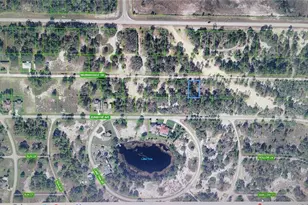 401 Morningside Dr, Lake Placid, FL 33852 - Photo 1