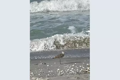 11877 Van Loon Avenue, Port Charlotte, FL 33981 - Photo 7