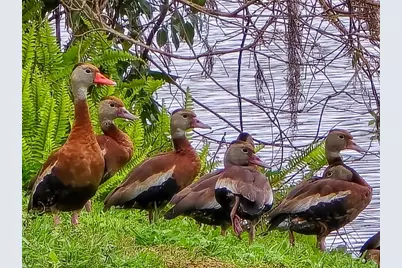 623 Oak Hill Circle #28, Sarasota, FL 34232 - Photo 33