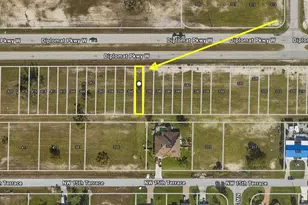 352 Diplomat Pkwy W, Cape Coral, FL 33993 - Photo 1