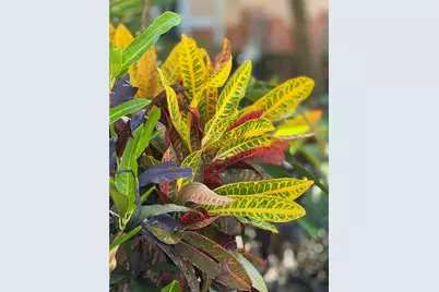 4140 Central Sarasota Parkway #1233, Sarasota, FL 34238 - Photo 25