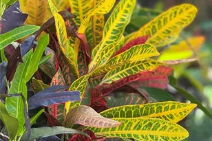 4140 Central Sarasota Pkwy, Sarasota, FL 34238 - Photo 25