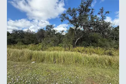 Sw Hwy 17, Arcadia, FL 34266 - Photo 3