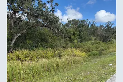 Sw Hwy 17, Arcadia, FL 34266 - Photo 5