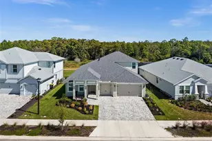 44766 Kelsa Anne Loop, Punta Gorda, FL 33982 - Photo 59