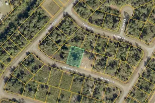 Tbd Skinner Ln, North Port, FL 34288 - Photo 1