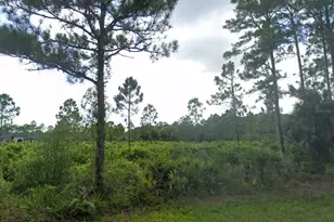 463 Reese St, Port Charlotte, FL 33953 - Photo 1