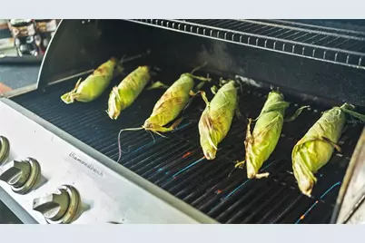 2995 Thomas Lane, North Port, FL 34286 - Photo 61