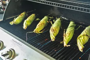 2995 Thomas Ln, North Port, FL 34286 - Photo 61