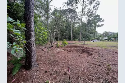 12955 Rio Vista Avenue, New Port Richey, FL 34654 - Photo 5