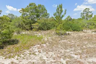 103 Vera Ln NW, Lake Placid, FL 33852 - Photo 3