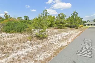 103 Vera Ln NW, Lake Placid, FL 33852 - Photo 5