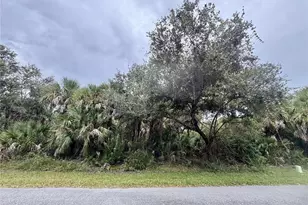 Rayfield Dr, North Port, FL 34291 - Photo 1