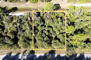 Rayfield Dr, North Port, FL 34291 - Photo 1