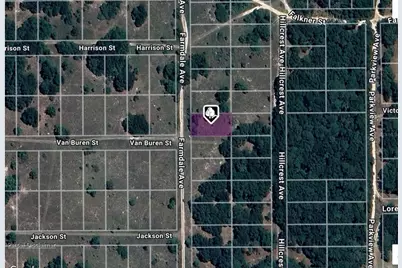 1008 Farmdale Avenue, Inverness, FL 34453 - Photo 1