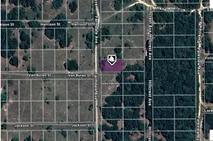 1008 Farmdale Ave, Inverness, FL 34453 - Photo 1