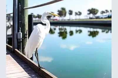 3525 Stockton Road, Port Charlotte, FL 33953 - Photo 61