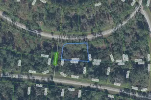 8823 Oviedo St, Sebring, FL 33872 - Photo 1