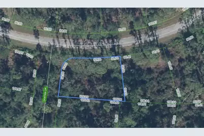 8823 Oviedo Street, Sebring, FL 33872 - Photo 3