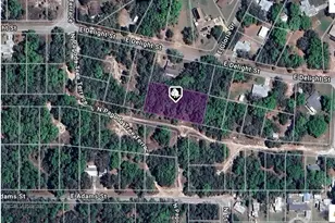 3917 E Peggy St, Hernando, FL 34442 - Photo 1