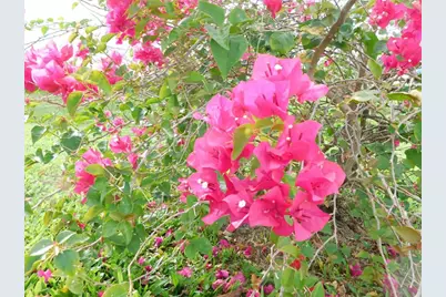 11739 SW Lemon Avenue, Arcadia, FL 34269 - Photo 47