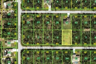 13342 Java Ave, Port Charlotte, FL 33953 - Photo 1